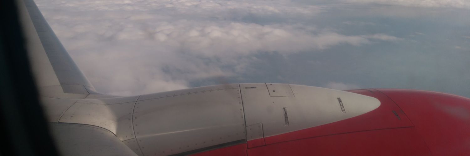 Pinkfĺàmê banner