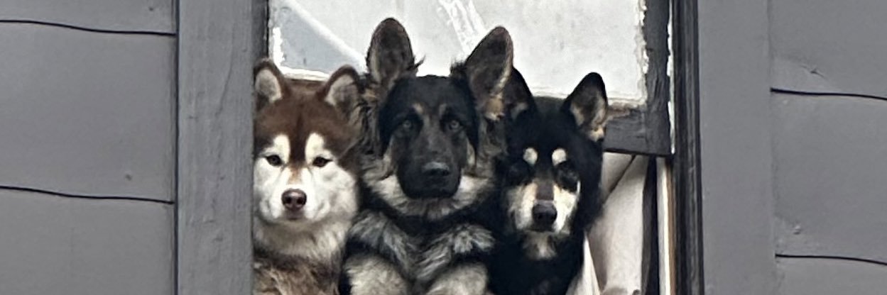 rikkehh_'s profile banner image