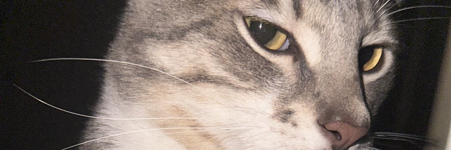 Dianadv00's profile banner image