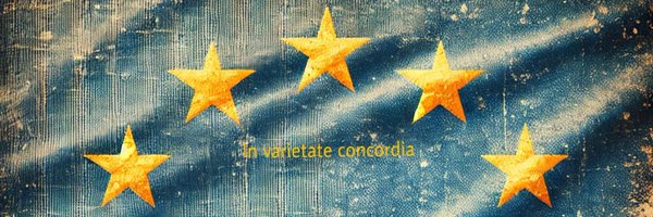 cfo_eu Profile Banner