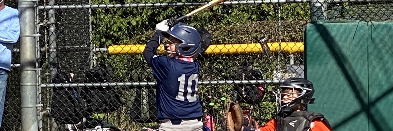 Michael Vecchione banner