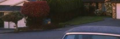 FVCKMYLIFESFALLINGAPART banner