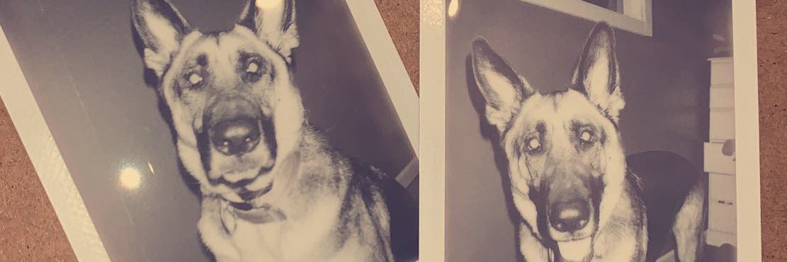StaceyMoore123's profile banner image