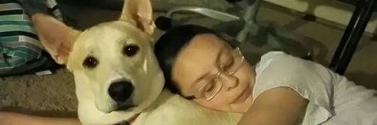 Almighty Alexa banner