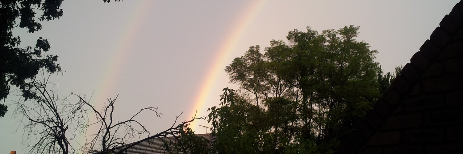 Dr. Yael Cass banner