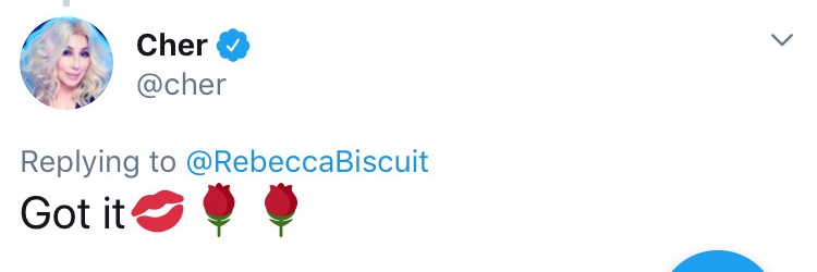 I Need To Cher banner