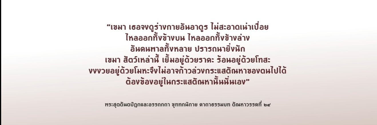 อ า ต แ ม ว B 2 4 🦠➕ banner