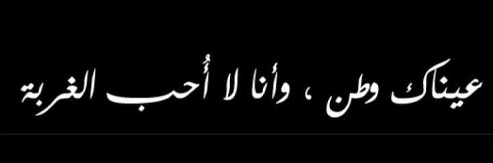 امل الحربي banner