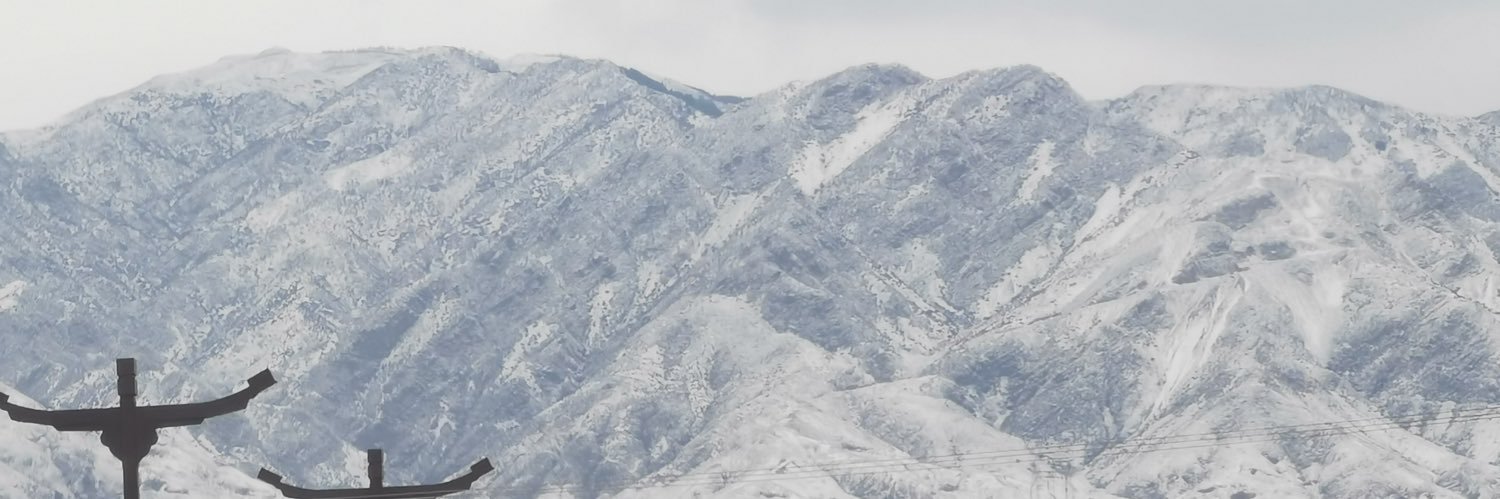 阴插阳戳 banner