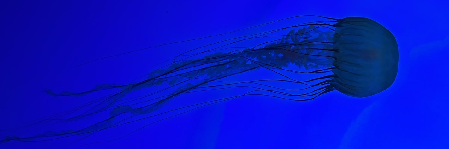 GearBear41's profile banner image