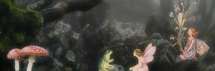vaalllkk's profile banner image