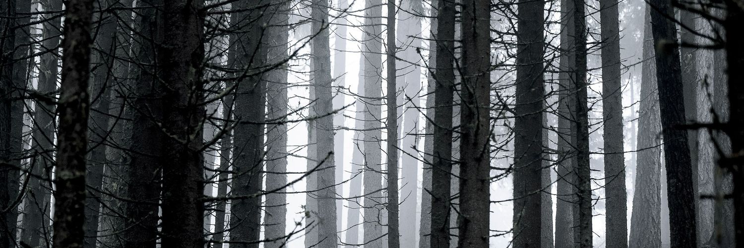 _mervinr6's profile banner image