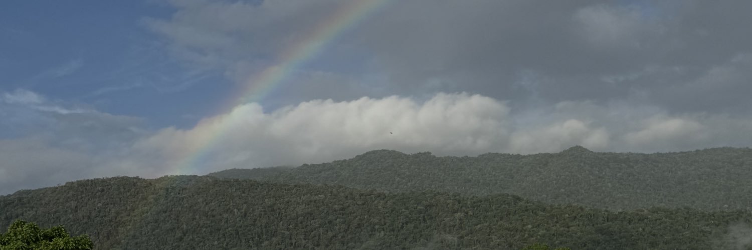 Lizbeethsg's profile banner image