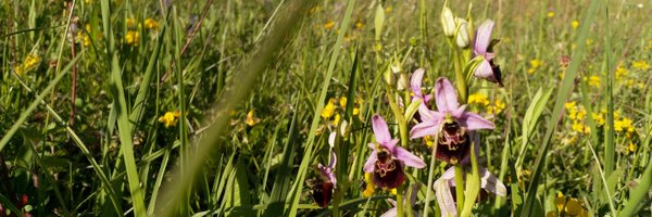 QuintRusman Profile Banner