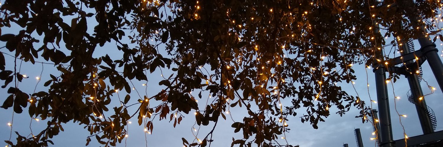 CarlaFCanche's profile banner image