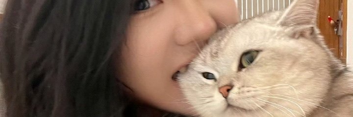 眠眠不失眠 banner