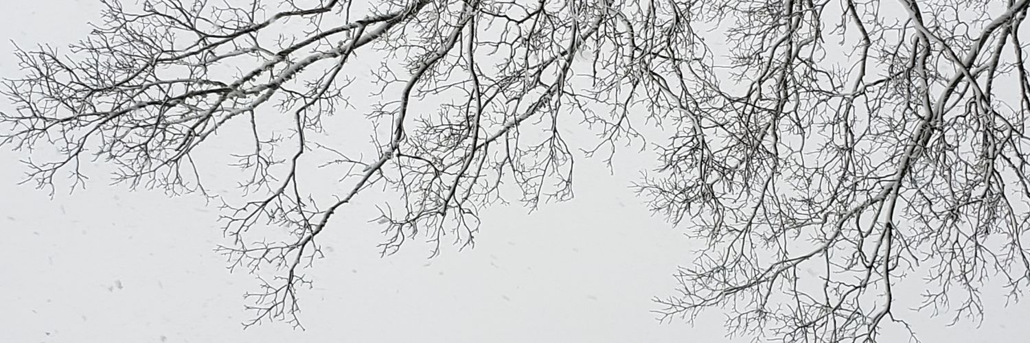 darthripken2's profile banner image
