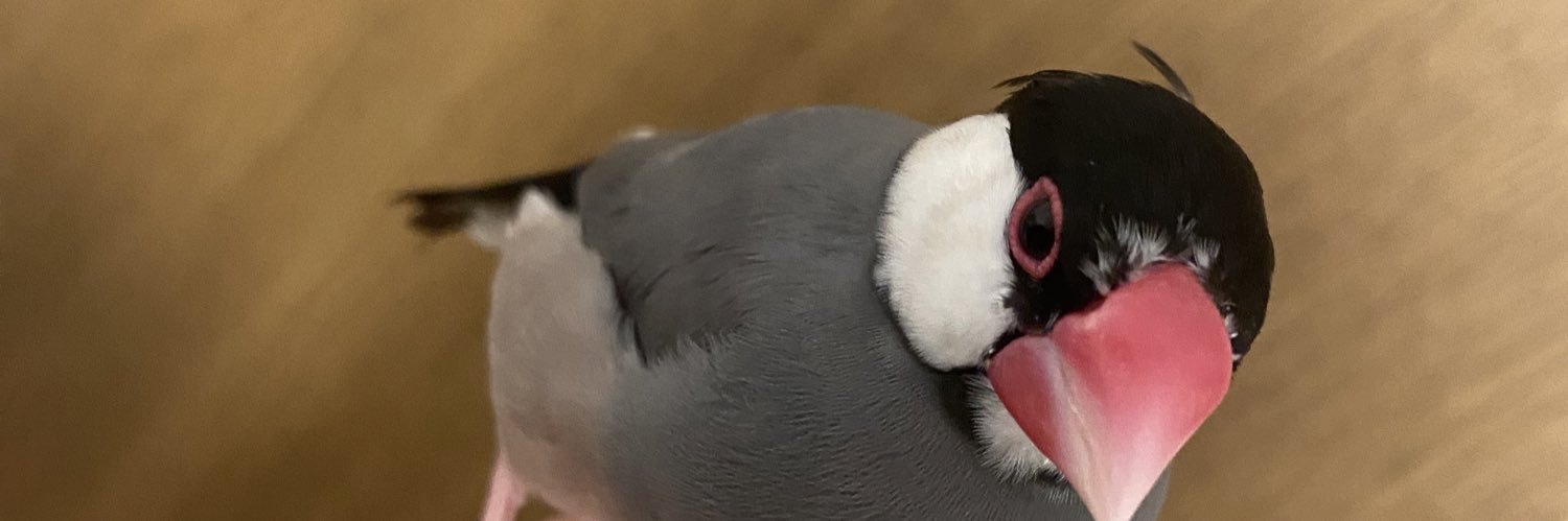 ckcklemon's profile banner image