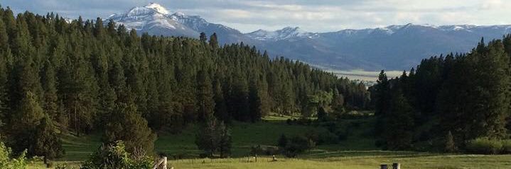 CoorsMan264 banner