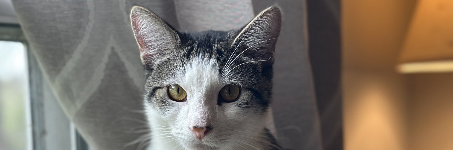 Kacbry's profile banner image