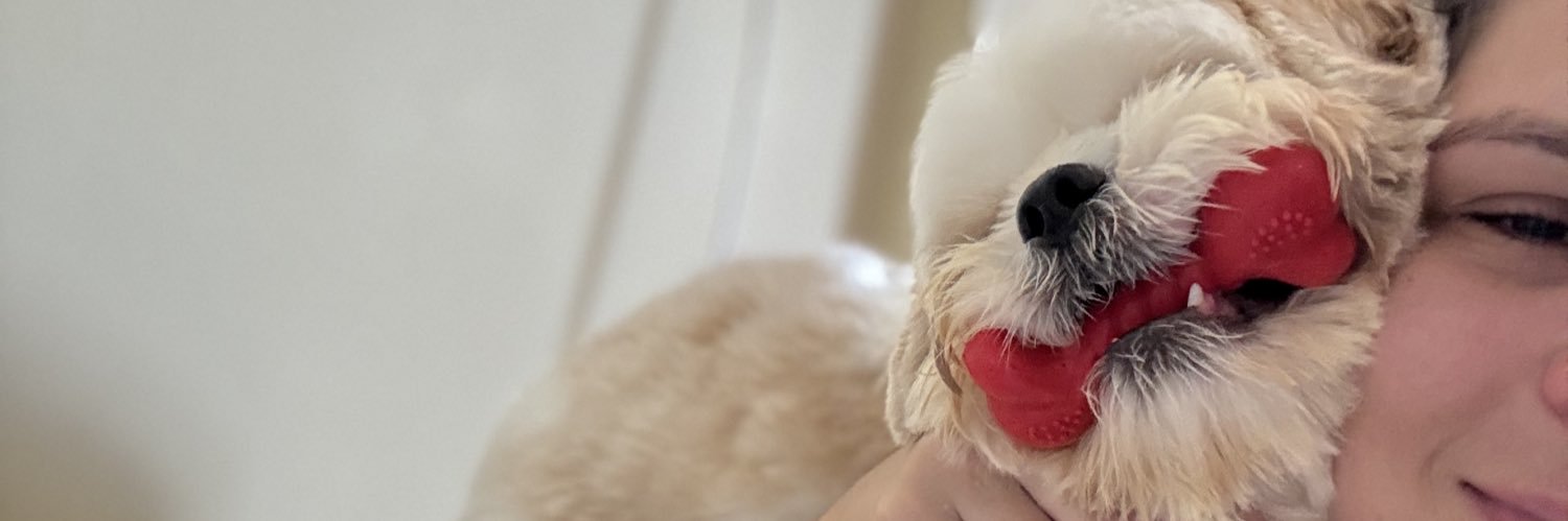 IsabelCynthia5's profile banner image