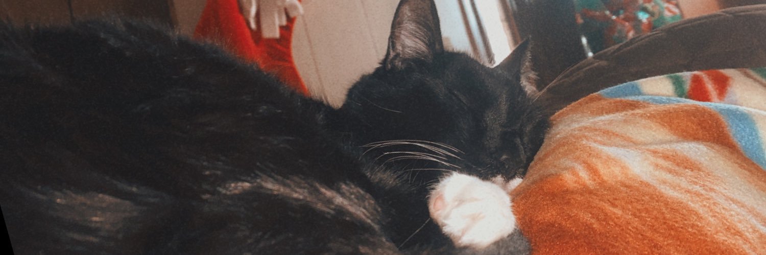 biannnka14's profile banner image