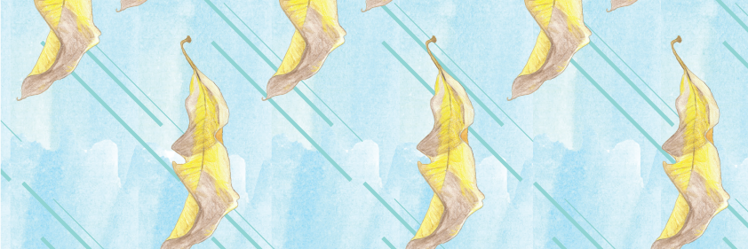 dsignrface's profile banner image