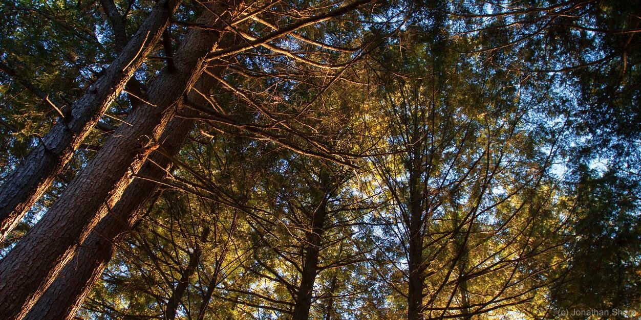 jdsharp's profile banner image