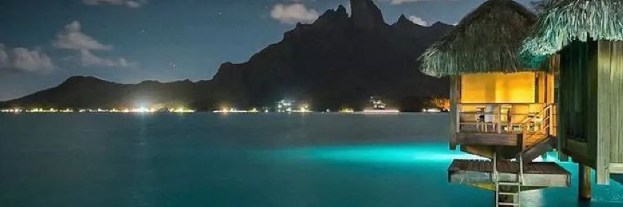 Tunnie44's profile banner image