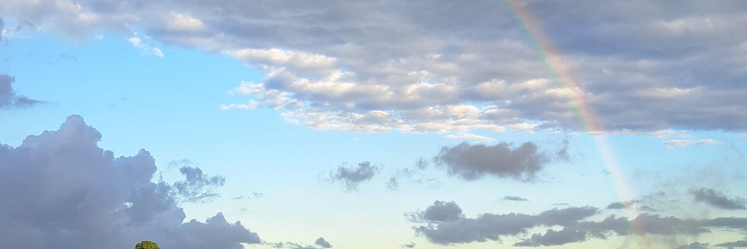 °•°Blueberry banner