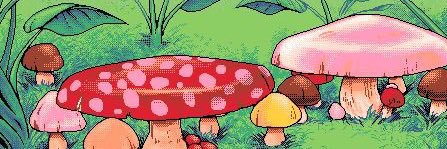 NicoleeRoseS's profile banner image