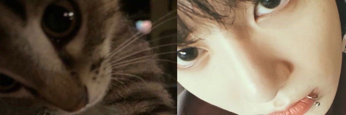 najubayubs's profile banner image