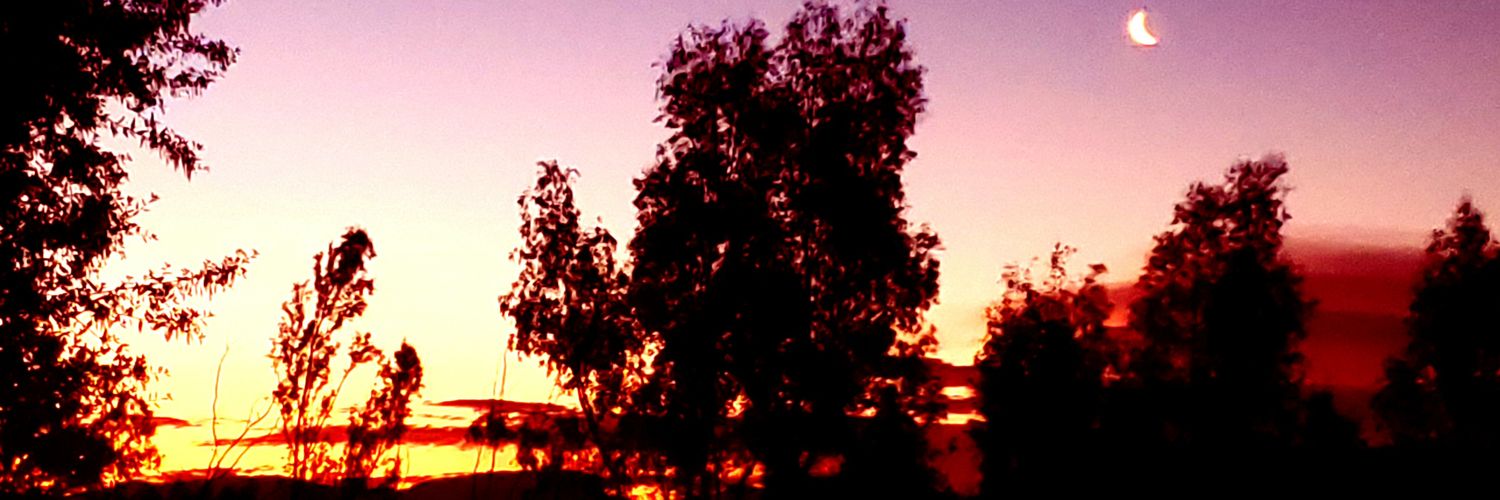 Dress_Da_Beat's profile banner image