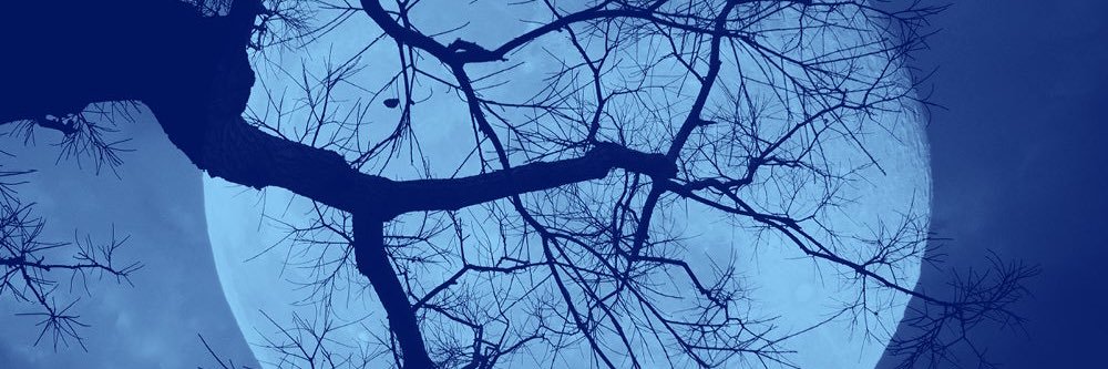 Jake banner