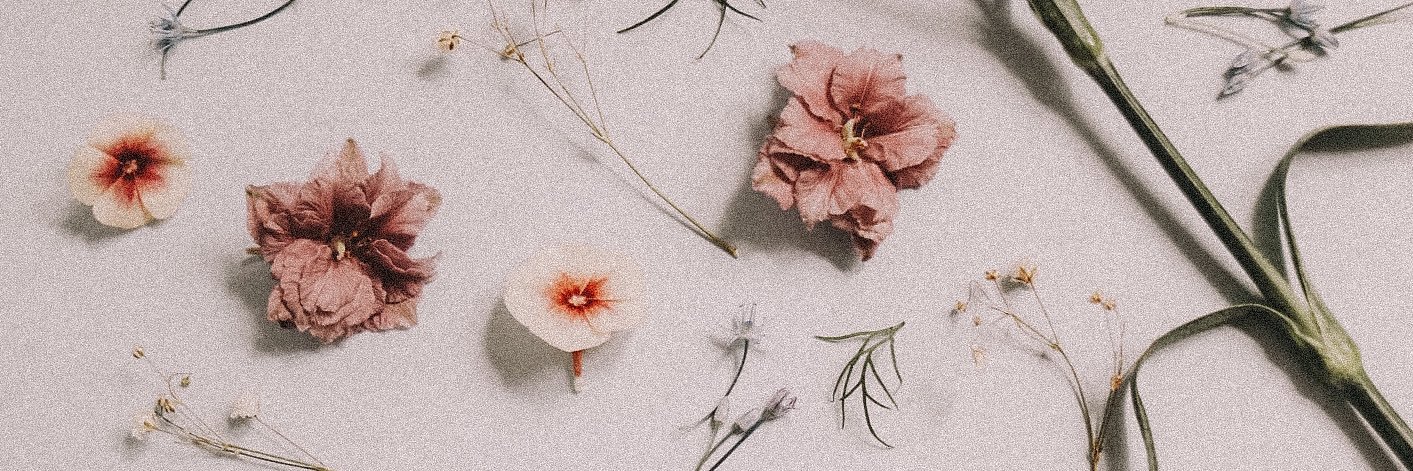 capp_katie's profile banner image