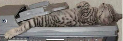 Jane Mary Asher banner