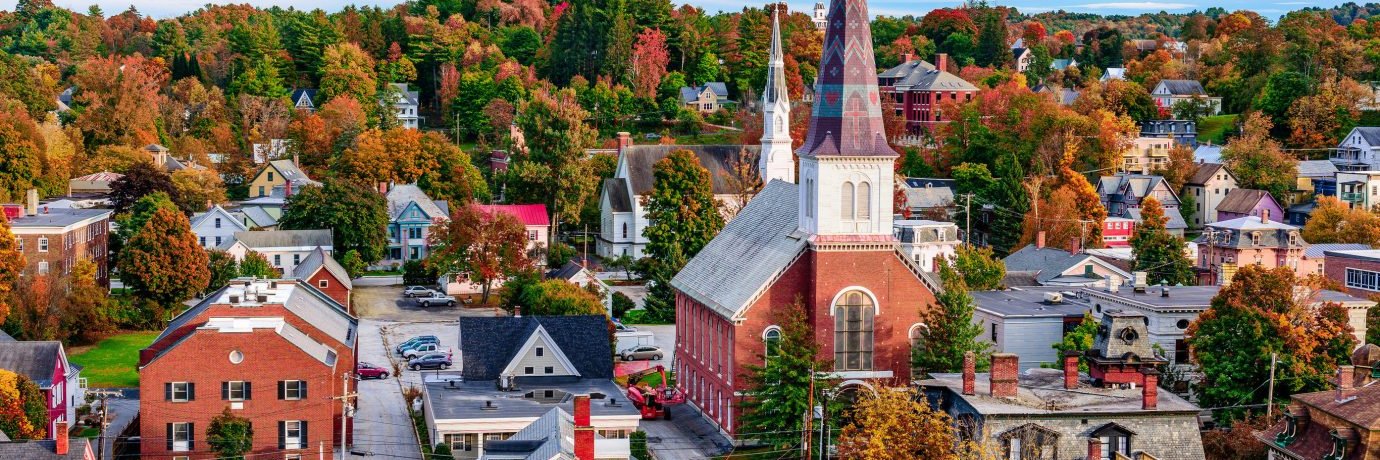 Real American Politics banner