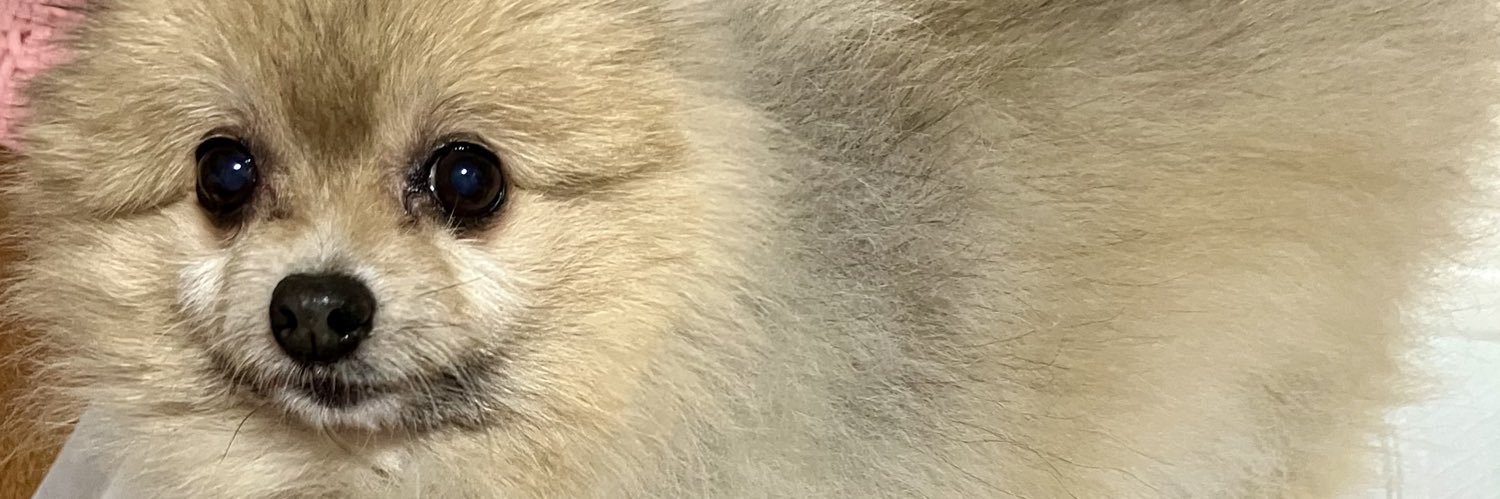 角刈りまかろん banner