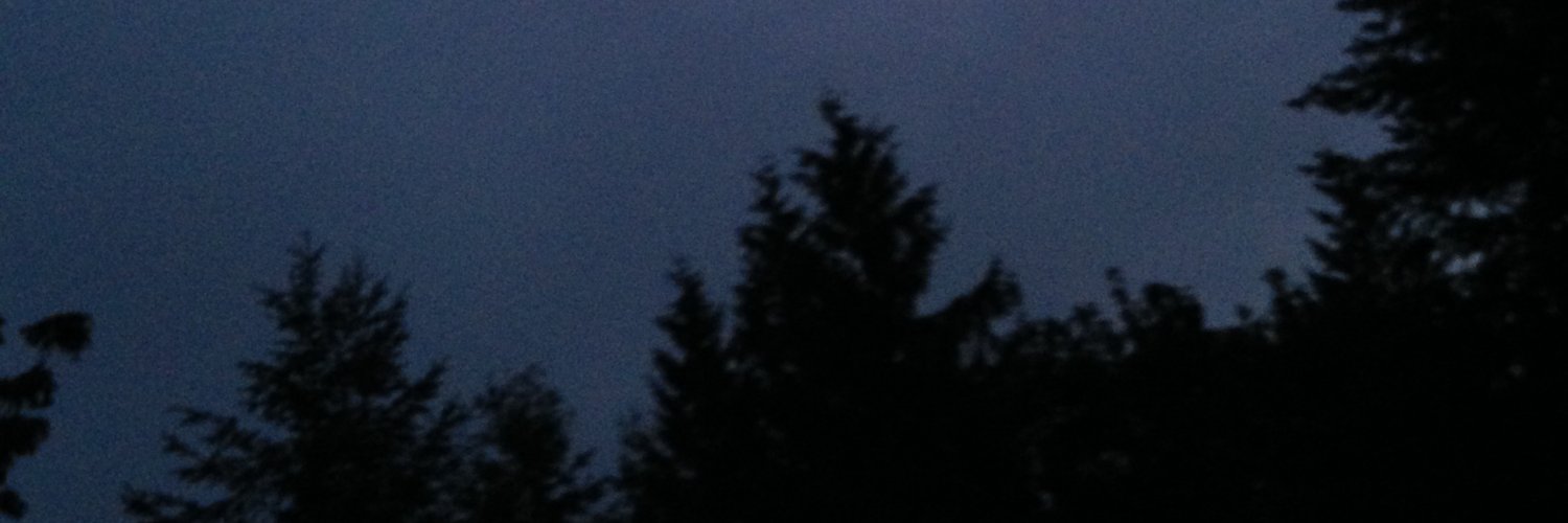 🇺🇸🇺🇦🇮🇱 rodan banner