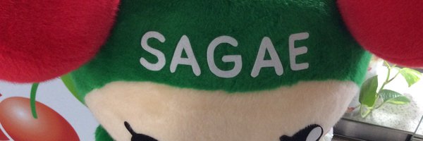 tanepu Profile Banner