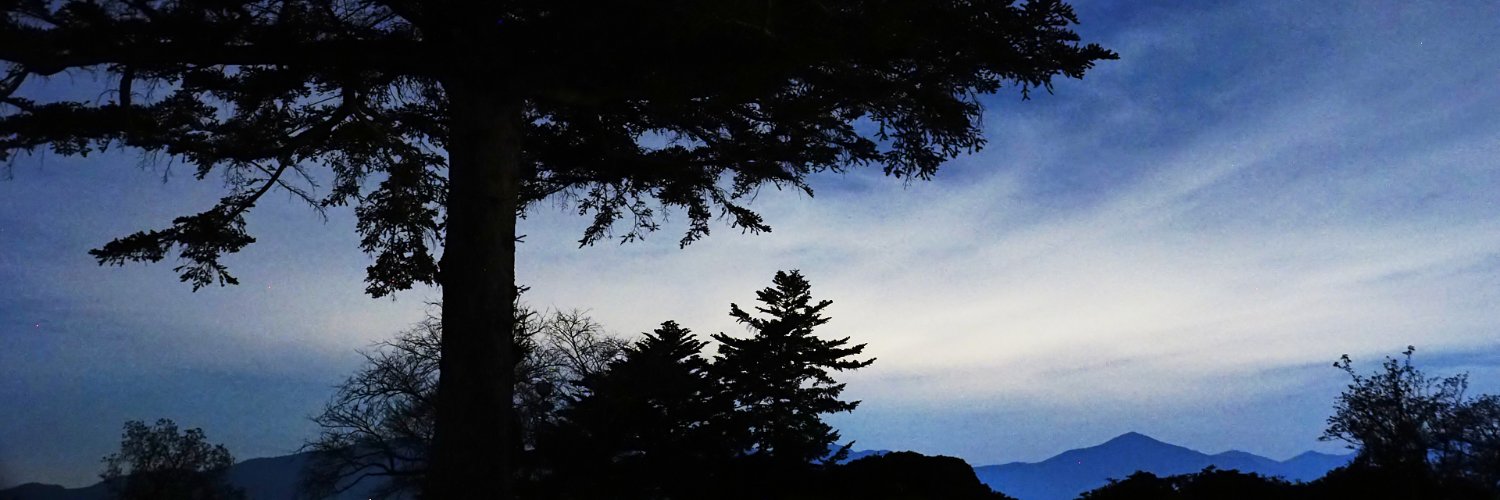 tanadel's profile banner image