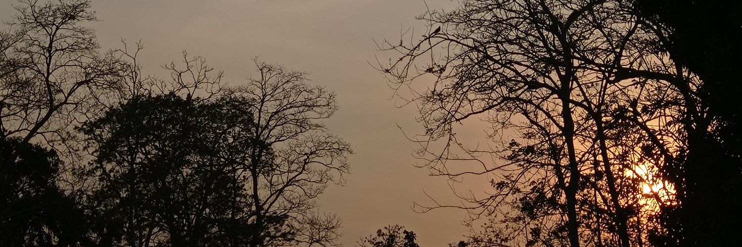 MariaJrz20's profile banner image