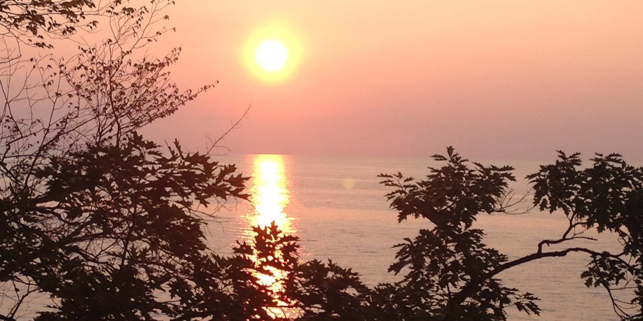 Allison Failing banner