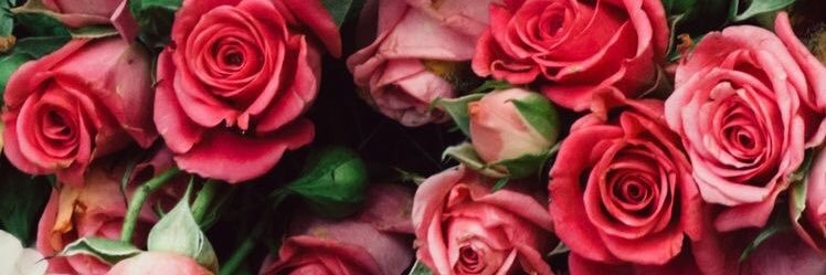 Nat7Kayser's profile banner image