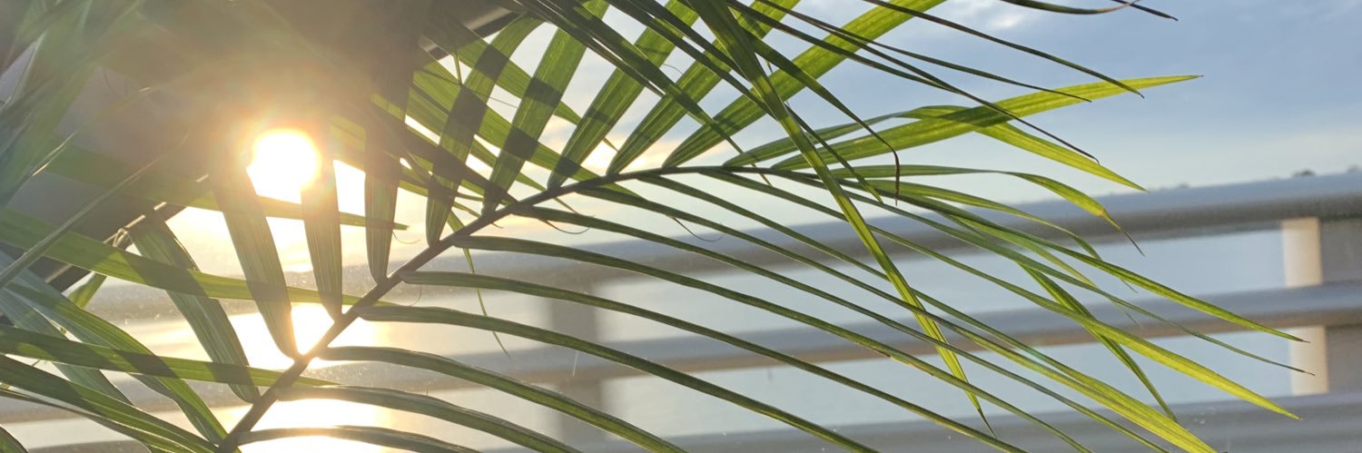 DejaeVuu's profile banner image