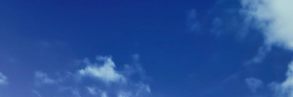 🐠 banner