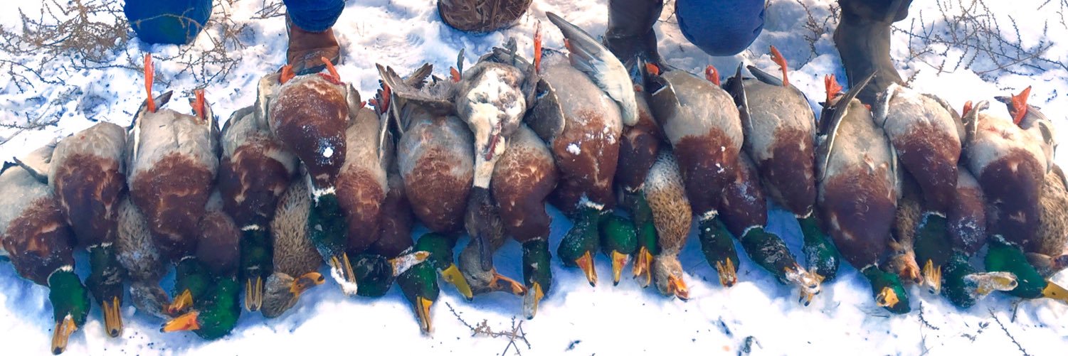 DesertMallards's profile banner image