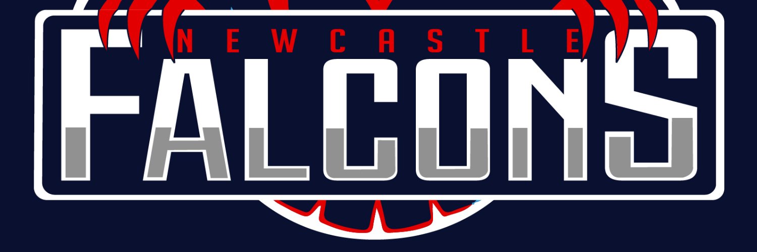 Newcastle Basketball banner
