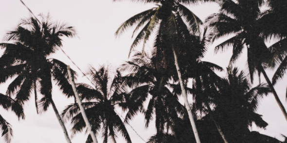 fieldshastings's profile banner image