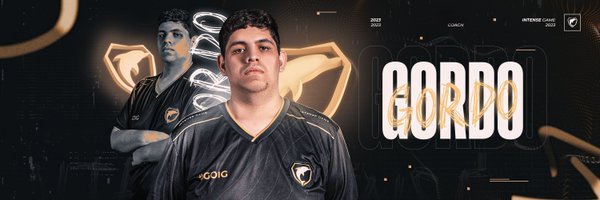 Gord0CS Profile Banner